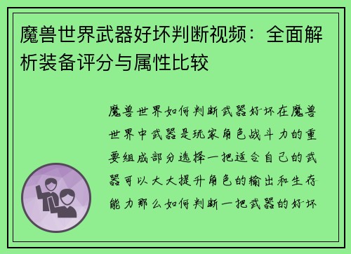 魔兽世界武器好坏判断视频：全面解析装备评分与属性比较